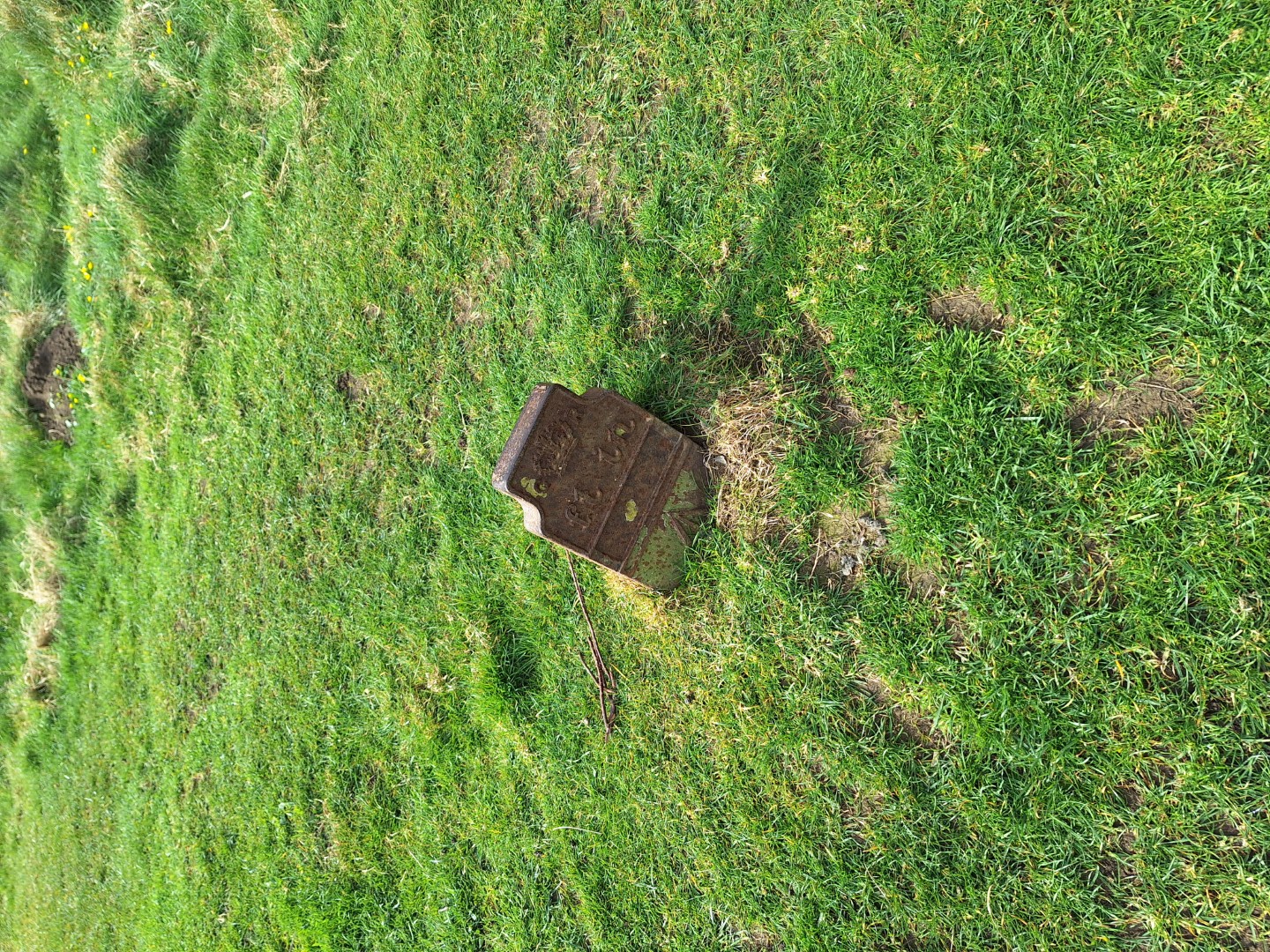 Telegraph cable marker post at Nr. Dunraven Castle, St Brides Major, Bridgend by Francesca Mawson-Walton 