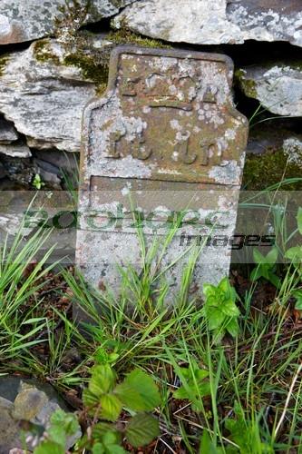Telegraph cable marker post at Forest Hall, Selside, Cumbria by Joe Fox 