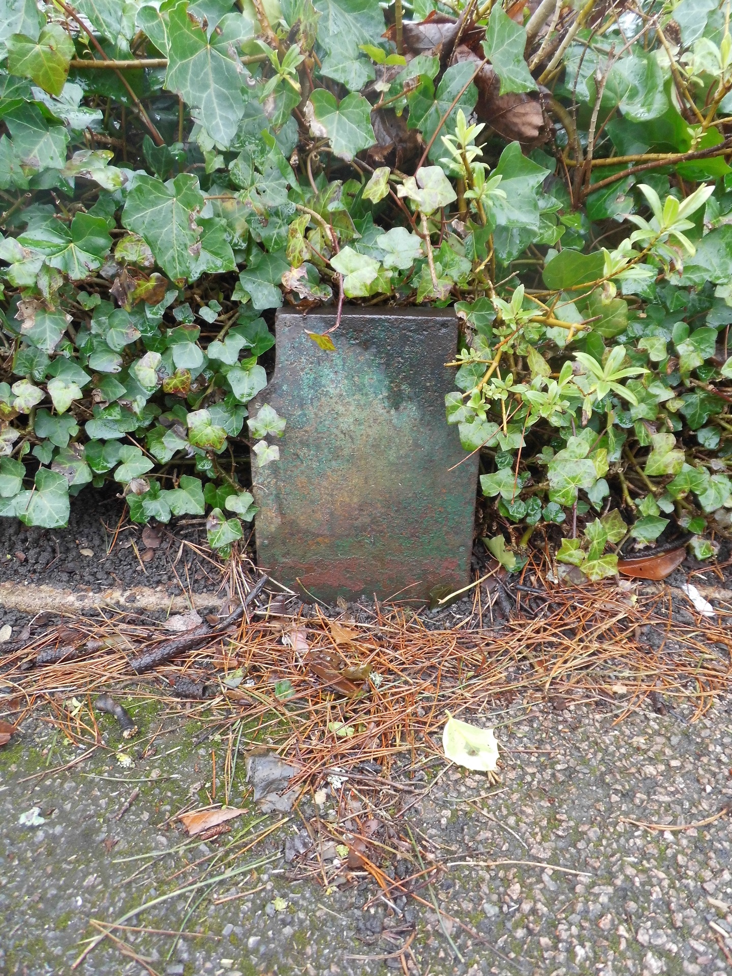 Telegraph cable marker post at opp. 6-10 High Rd, Bushey by Derek Pattenson 