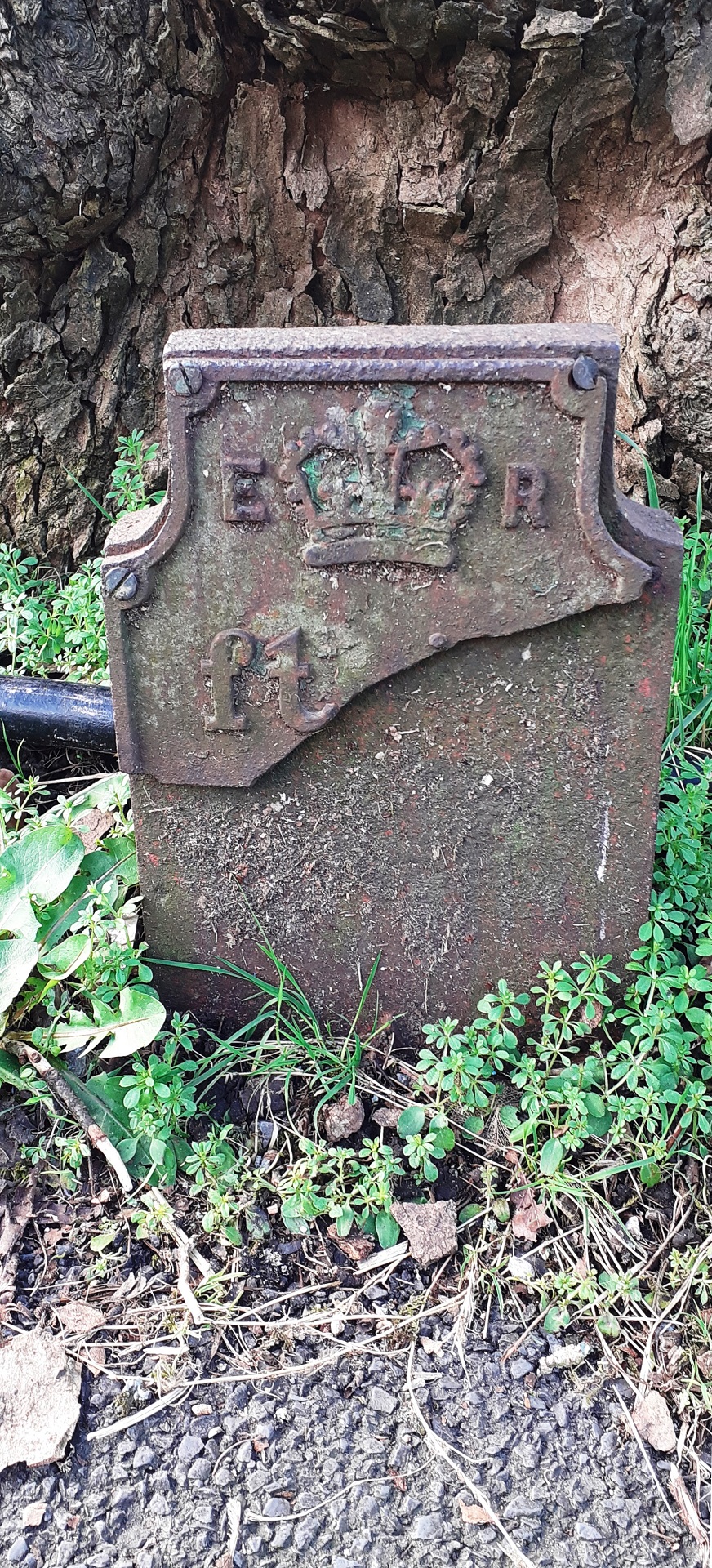 Telegraph cable marker post at 17 Aynam Road, Kendal by Roger Templeman 