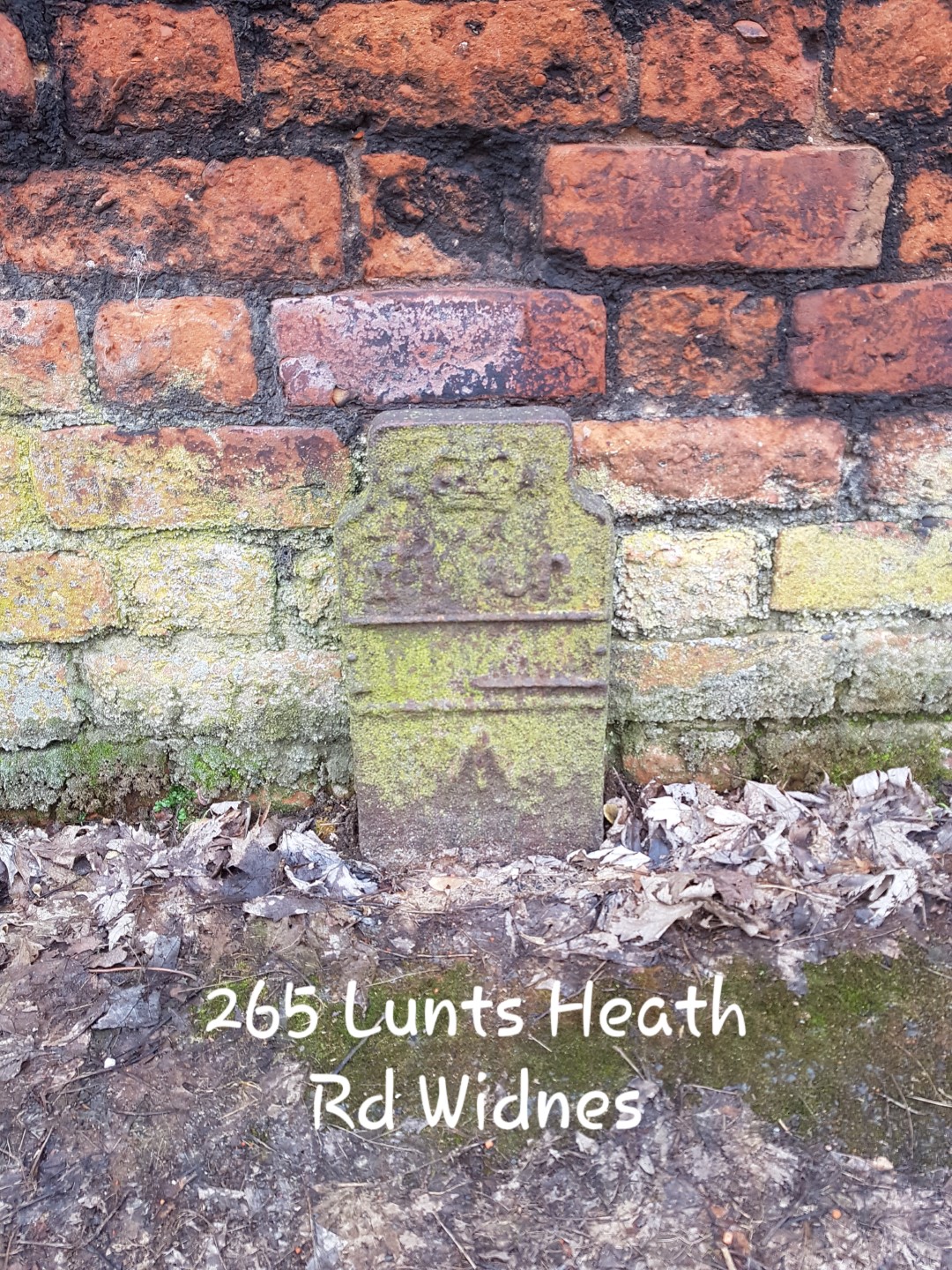 Telegraph cable marker post at 265 Lunts Heath Road, Widnes by Jan Gibbons 