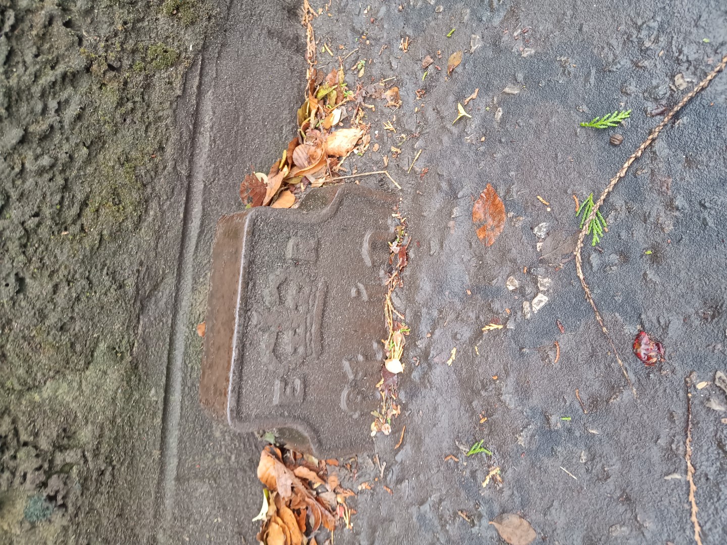 Telegraph cable marker post at Arnothill, Falkirk by Alan Smeaton 