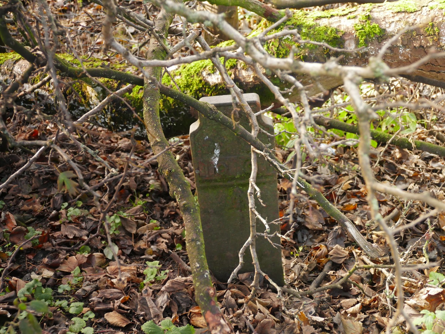 Telegraph cable marker post at Scotforth Road (156m N of Ashton Manor entrance), Scotforth, Lancaster by Christopher Leather 