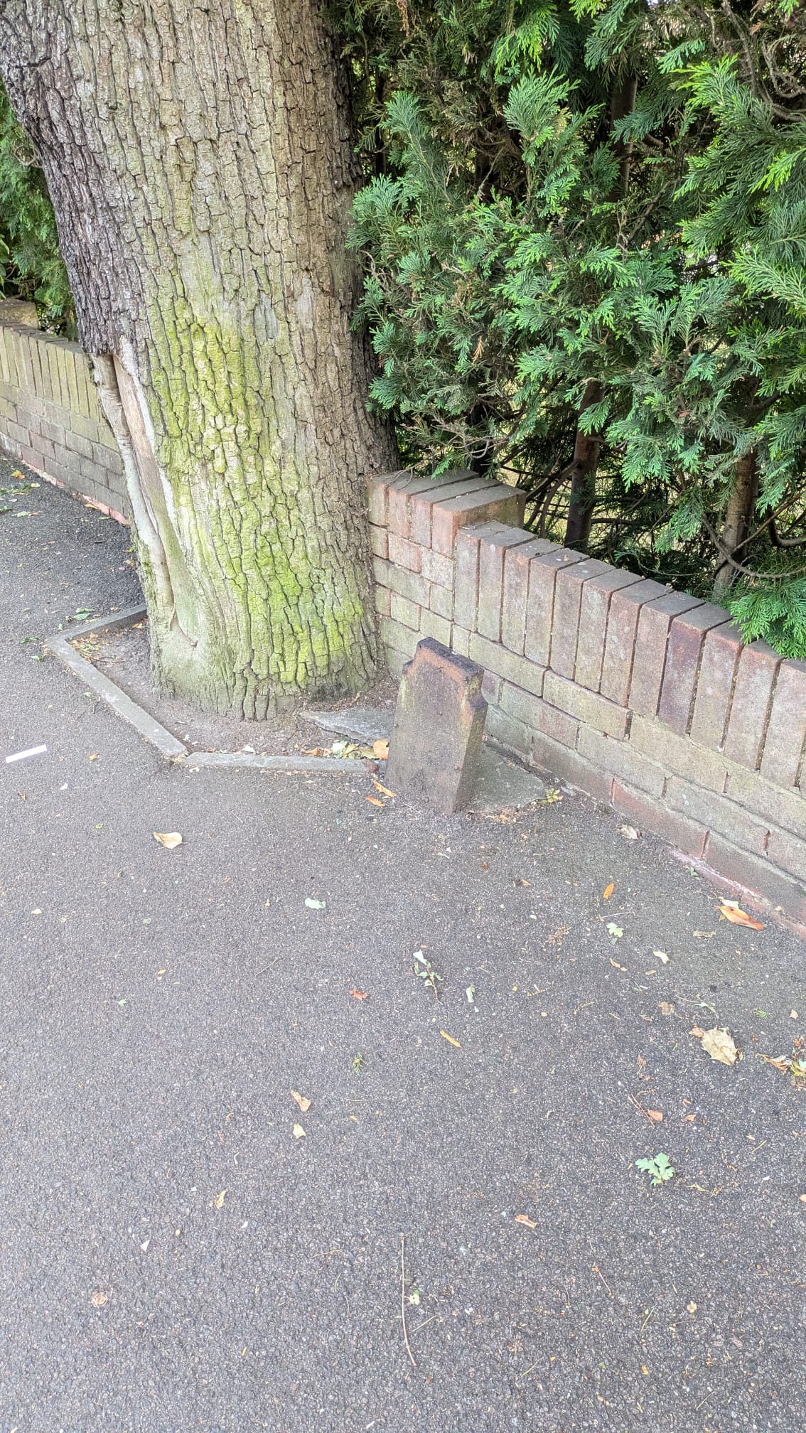 Telegraph cable marker post at 129 Hempstead Road, Watford by Derek Pattenson 
