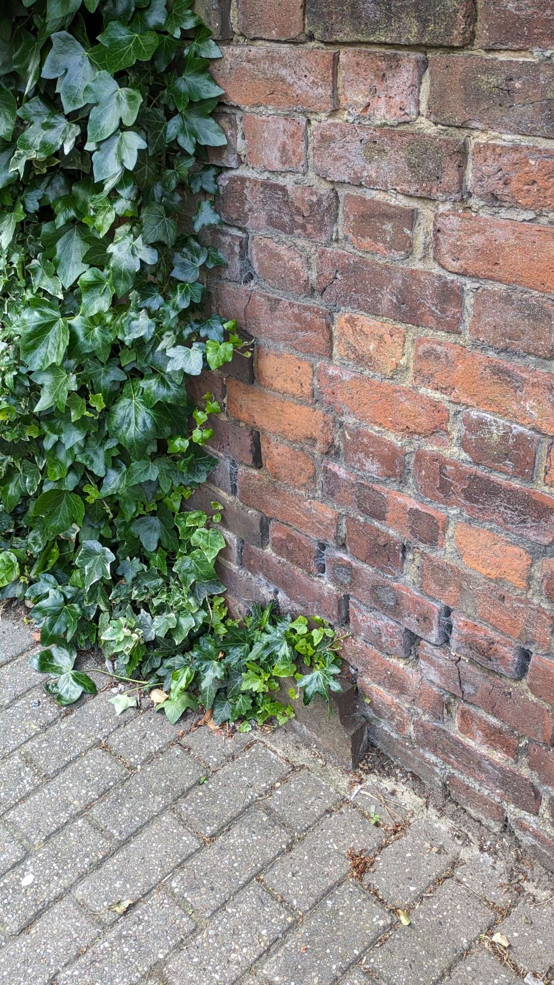 Telegraph cable marker post at 38 Hempstead Road, Watford by Derek Pattenson 