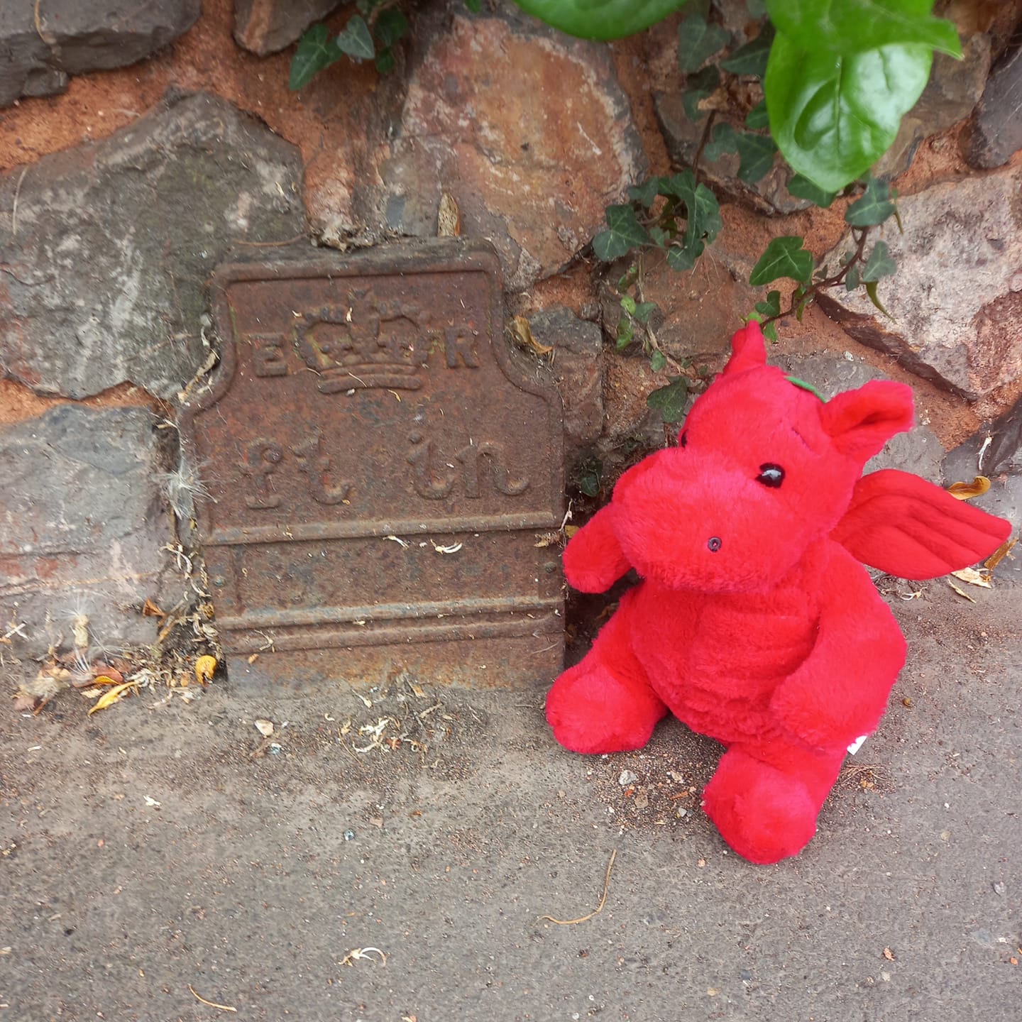 Telegraph cable marker post at 85 Hamilton Road, Taunton by Stephen Walding 