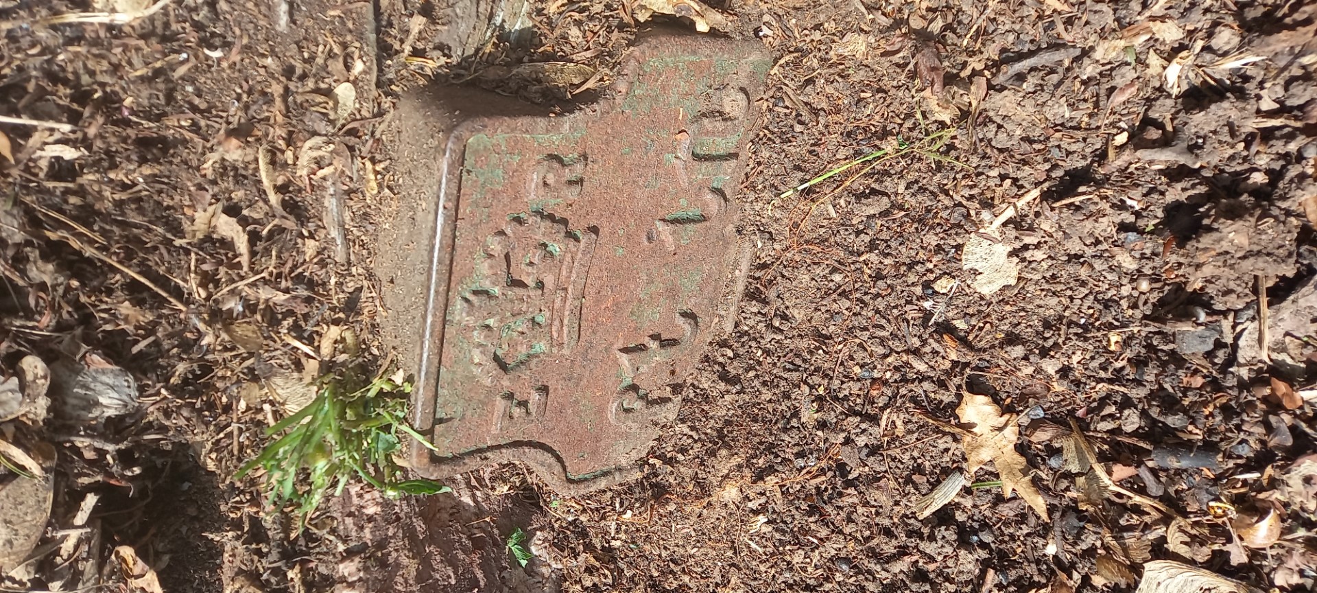 Telegraph cable marker post at 58 Hamilton Road, Taunton by Stephen Walding 